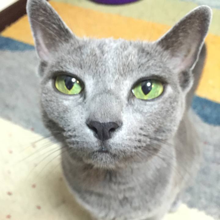 9fae893f c7e5 44db 89bc 008719bd0a50