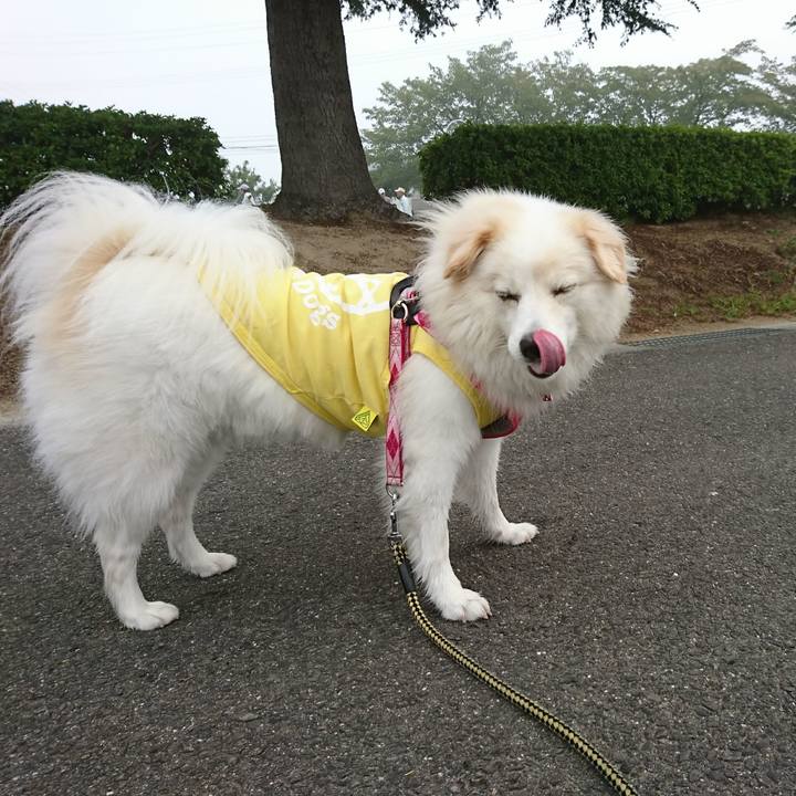 9fae933a fc39 412c 95b9 936e967a0d53