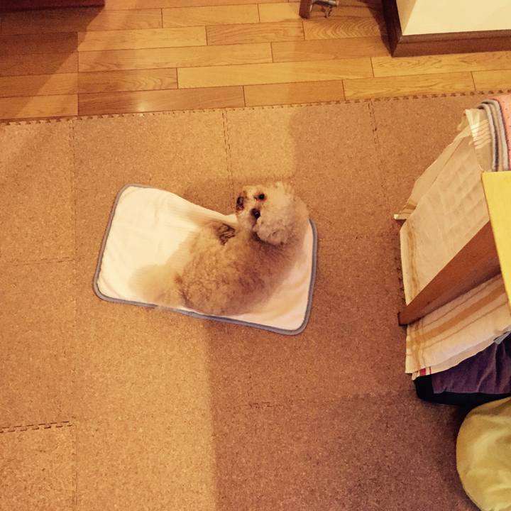 9fae97fa bde3 4fb7 9478 b025bd74251f