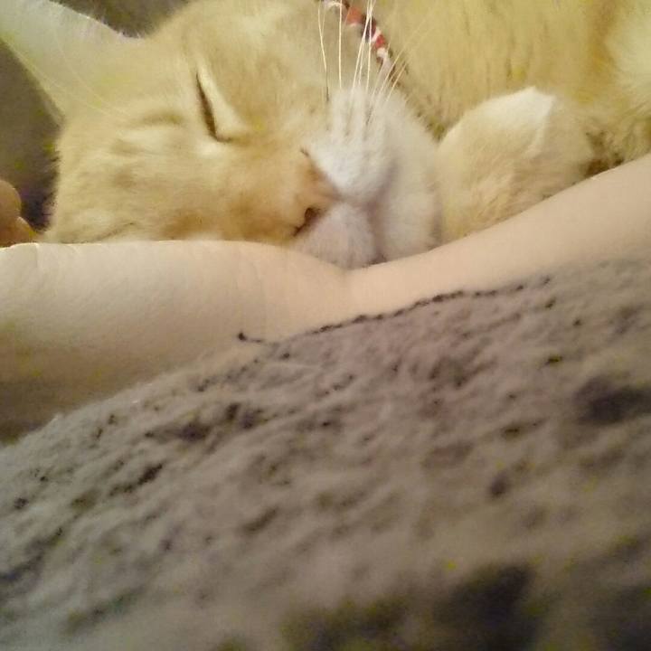 9faeb3de a293 4928 b9e9 20a455b7f4c0