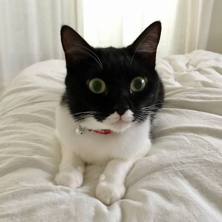 9faebccb 9d90 4e57 99de 6ea023680d90