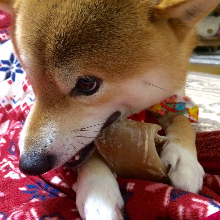 9faefbba d2fe 4ba2 bbcd e8dd72fb714b