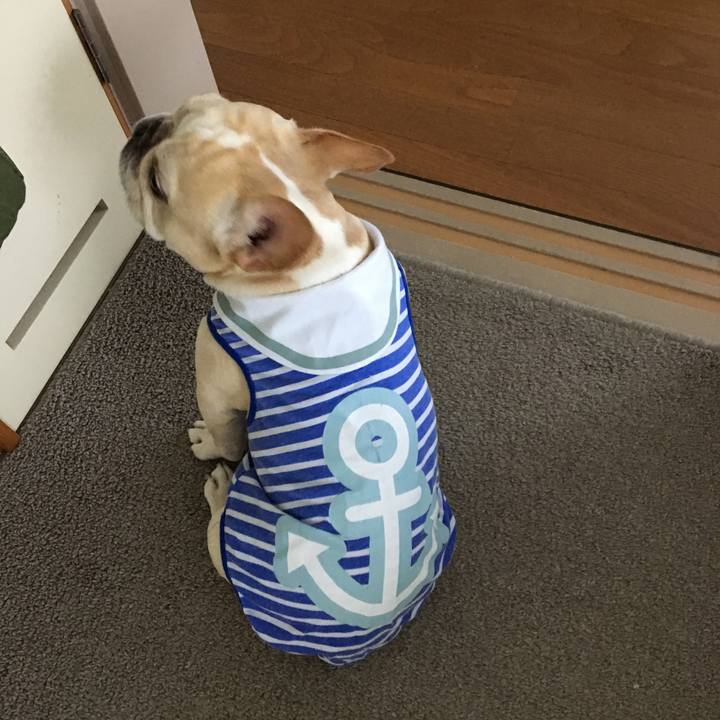 9faf58a5 83f2 4cd2 ba8d a6d5be380f6b