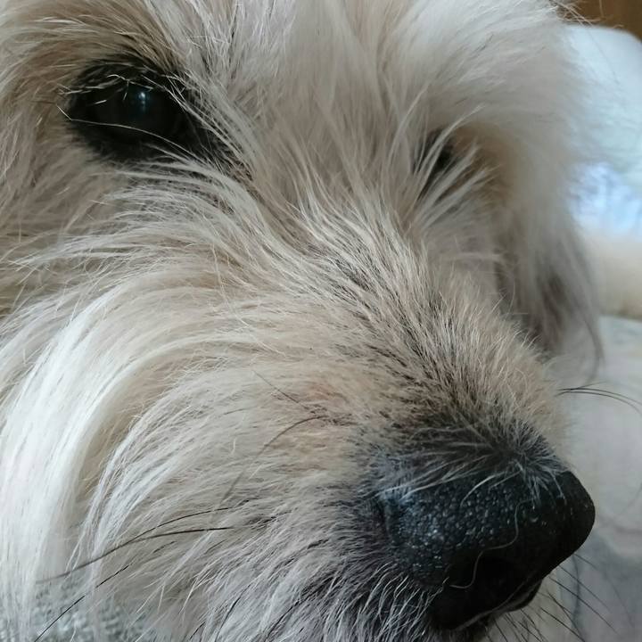 9fb01268 356e 4d1d a445 2a01b3980c66