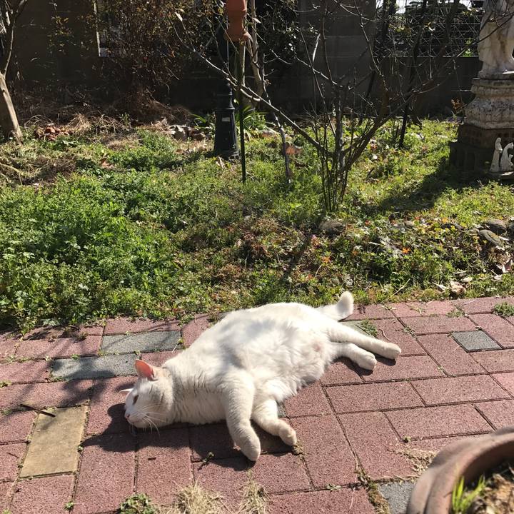 9fb024f9 0aa3 467a 9103 eb08079d5fec