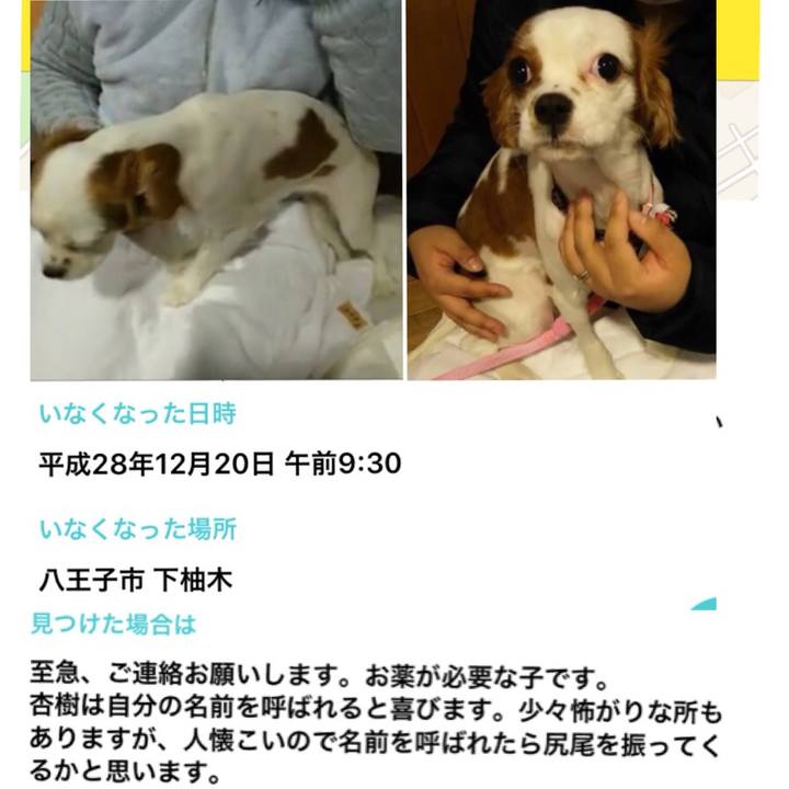 9fb0353a 6efd 4f20 88e5 8deb74be7a4c