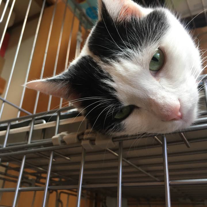 9fb04e53 6afe 4602 ac57 9cda495c73a7