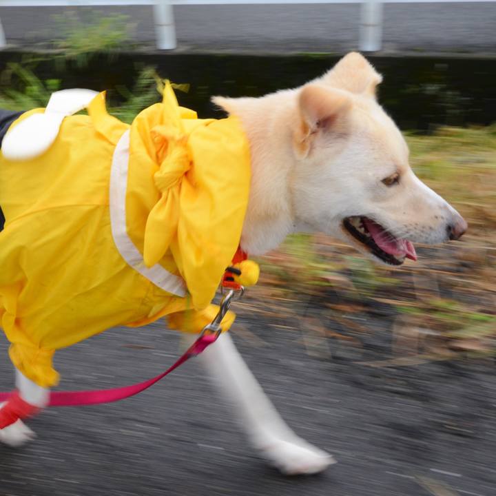 9fb063f1 7a3f 424d b73c ce1c8d039777