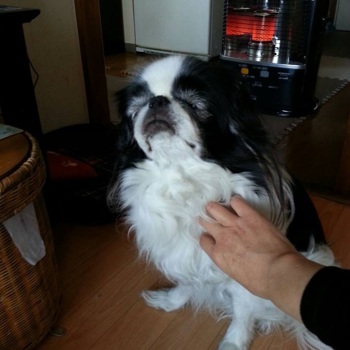 9fb09fc4 b2f1 41fa 9118 1123da62b25f