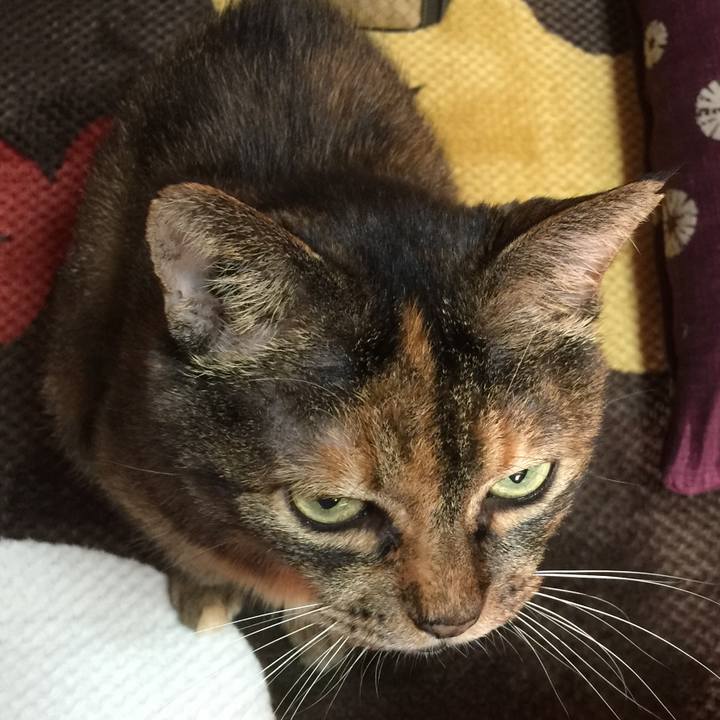 9fb19fa6 2993 45ee 96b2 5c9539419dd6