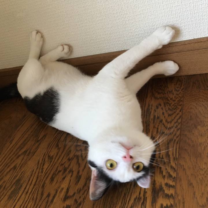 9fb1aa73 e2f3 40bf a6ad 90f62dc9cf96