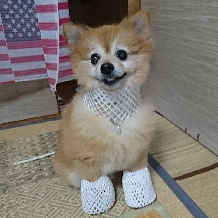 9fb1bbab 1e0e 475b 8c74 913c603896db