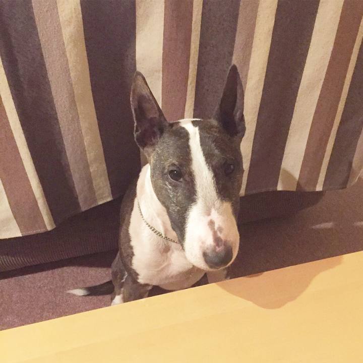 9fb220ab 45ed 445a a75e b5d0fd240478