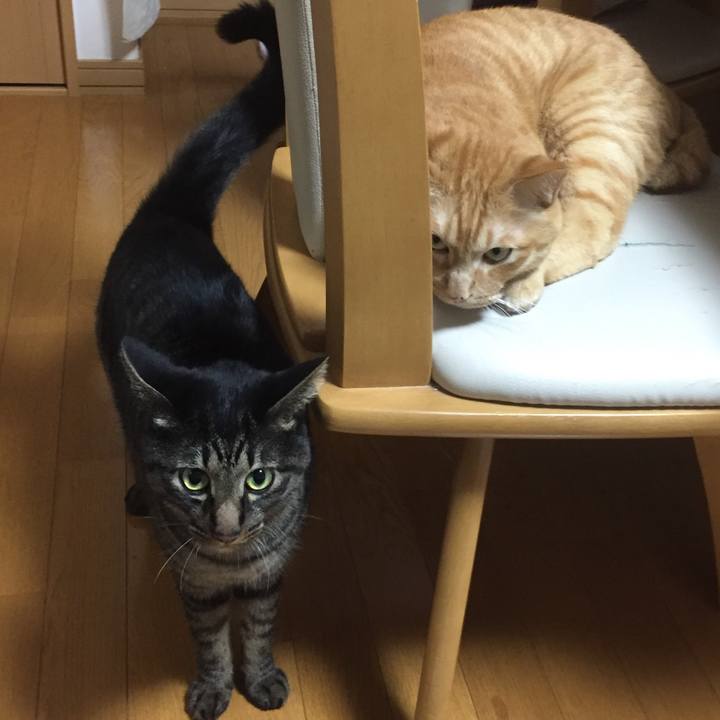 9fb243a9 545f 4499 8115 bf6645146acc