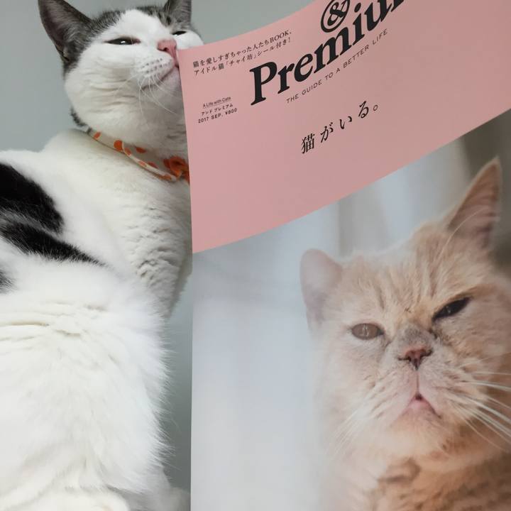 9fb285eb a48d 4d02 8a06 5a2251c9122c