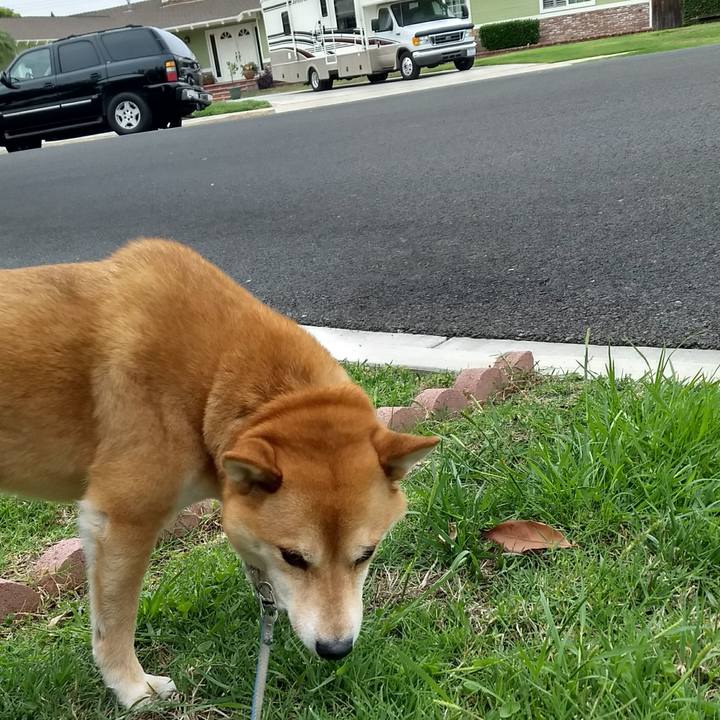 9fb31424 5ec9 4a86 b294 f41d6133f5fa