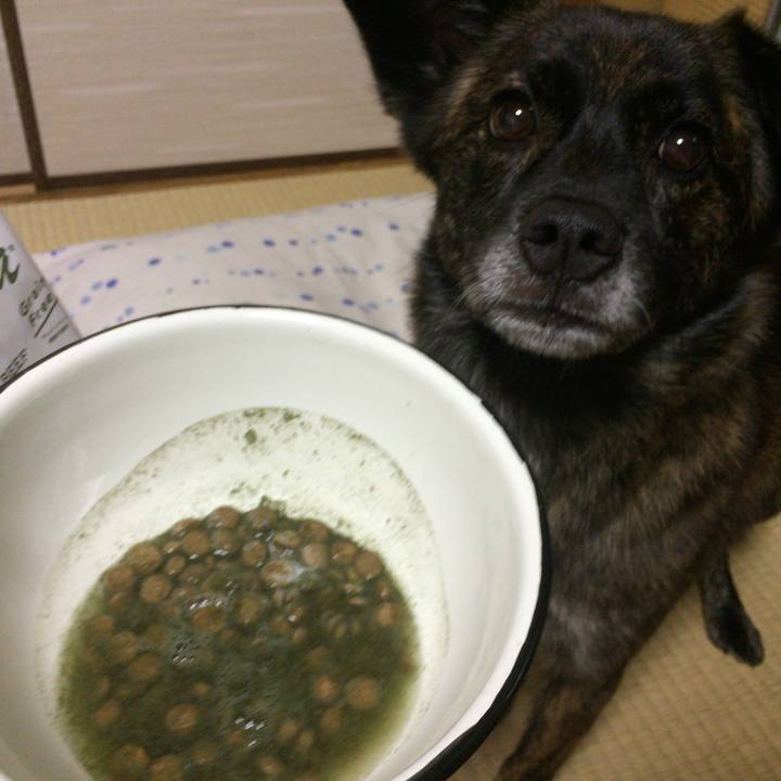 9fb34f1d b3f3 4d18 b2cf 13b9444cbcbc