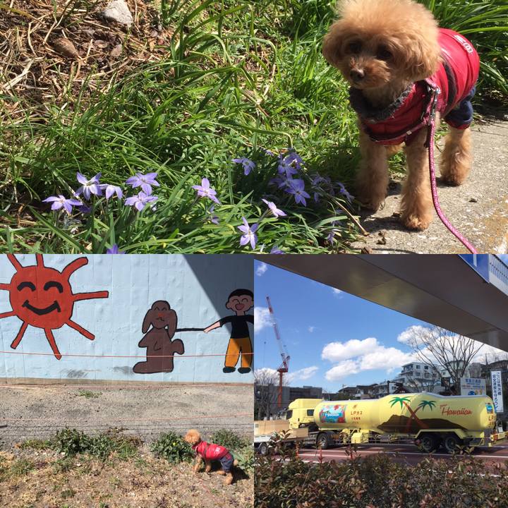 9fb39b33 f65d 413d 9323 187162e8b3fd