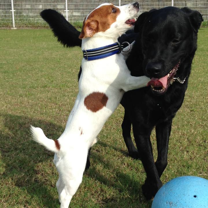 9fb3caae db7c 4f76 b9d6 4354ffa59085