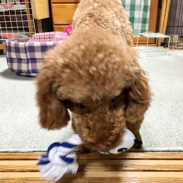 9fb3d0cc a000 4af6 b31c 57ec416ec3fa