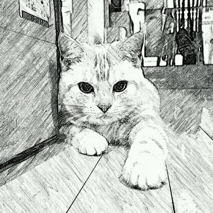 9fb3efb7 9ac2 4efa b26e 9561d6a25222