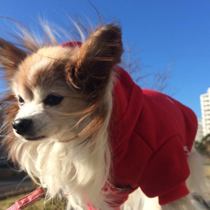 9fb3f400 15e0 437d 8dad 0657e586d568