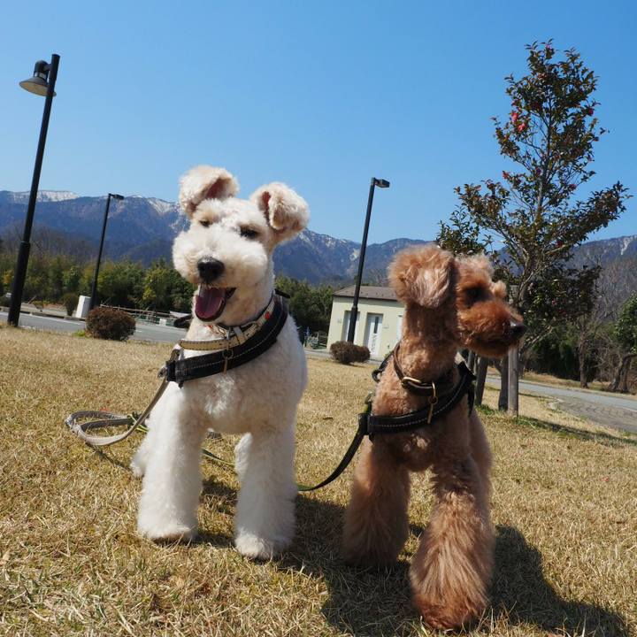 9fb47ccb 1661 4faf b7bf 402ab427843c