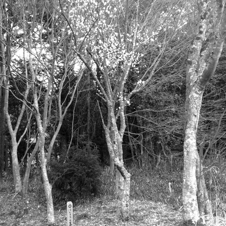 9fb4b56c b36a 4b85 812f 751e02cf2915