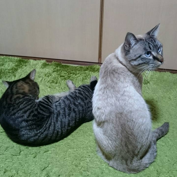 9fb54024 ba63 459d ac97 7ce4c9a2d50c