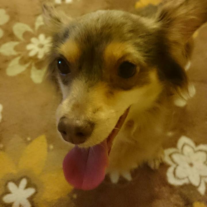 9fb57fae f08f 4d8c abd2 230dd285d601