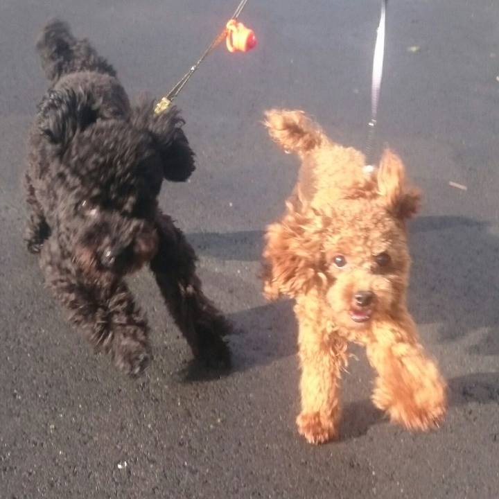 9fb5c1c2 27f9 484f adda 6b1cd0f3cbc0