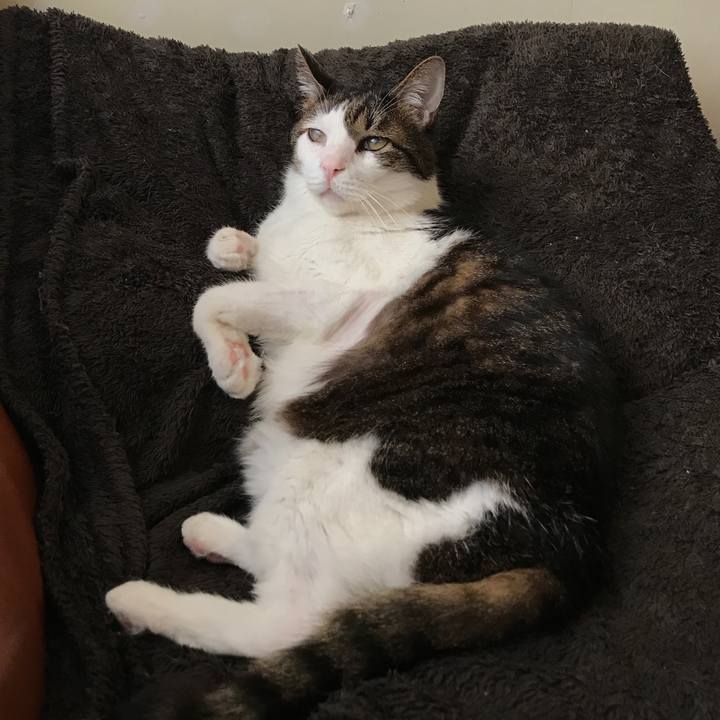 9fb60b4b c8b1 44fb a390 891b08c84d57