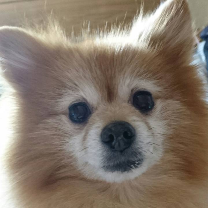 9fb60b5b d382 4ff7 84d8 4498bdb81fee