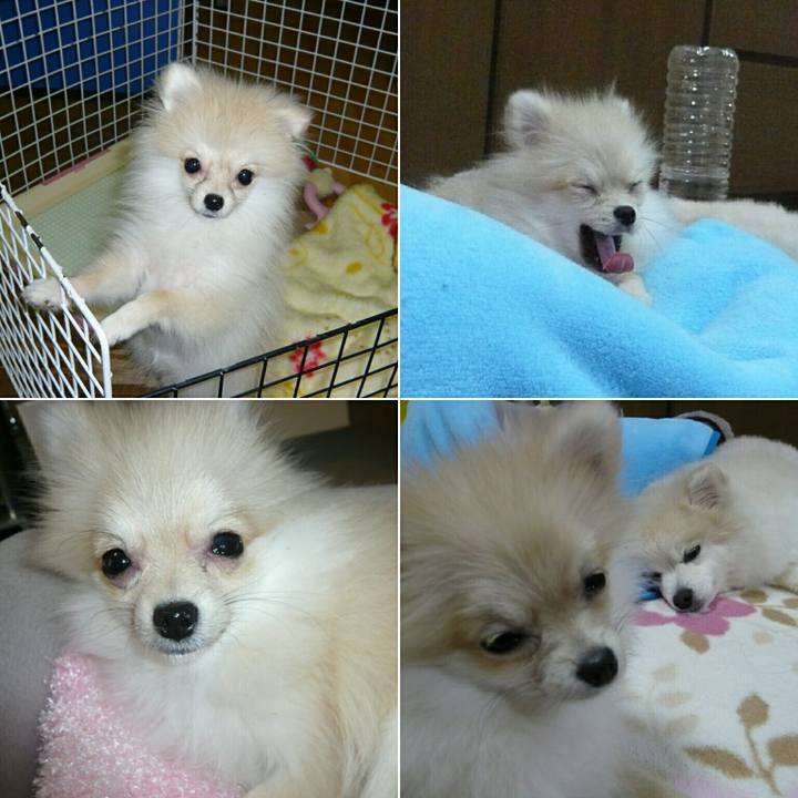 9fb6d74f ae32 4d92 811b f46f956e1021