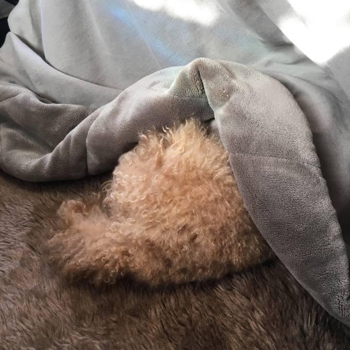 9fb6eec9 c913 4af1 9f84 b6c0fe196abf