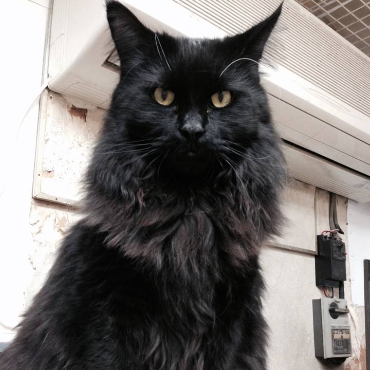 9fb6ef57 d550 4bdc 9273 cc017d15501b