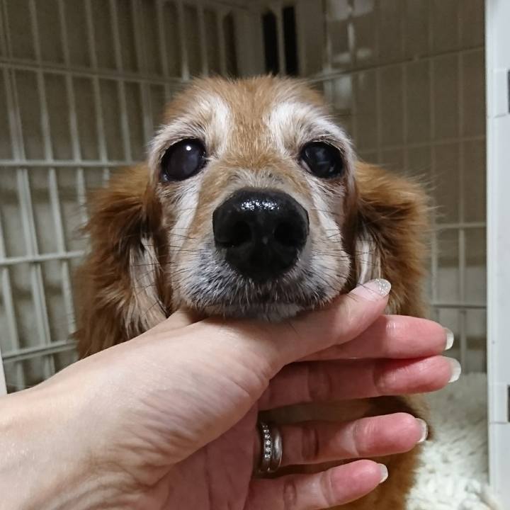 9fb7a6d6 c55c 492a 8673 4ac0e715d163