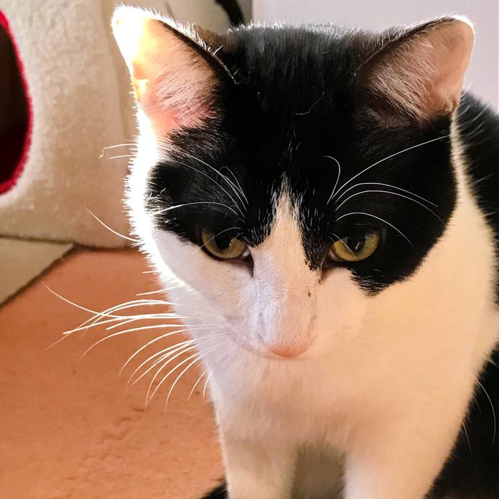 9fb7fc06 f90b 4b16 a618 9857f9c47cf2