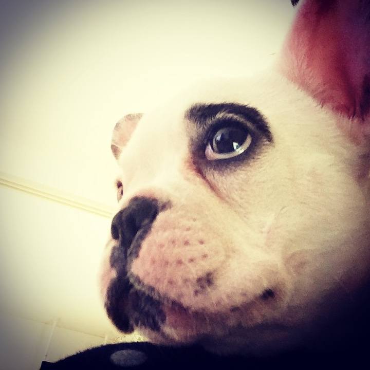 9fb8e959 62ca 4d71 a564 7706a76fb315