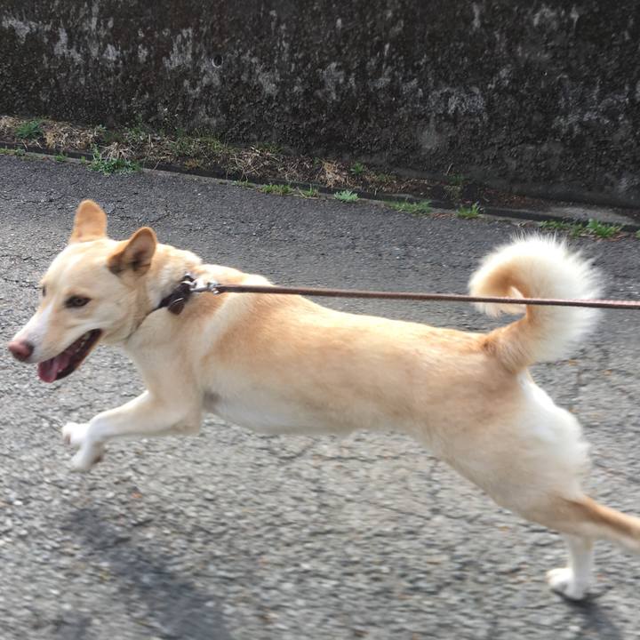 9fbaa9a6 382a 4db1 8528 d35148d06134