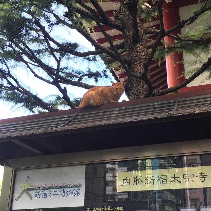 9fbaf3cd cdb6 4417 8f8f 046cef111cd5