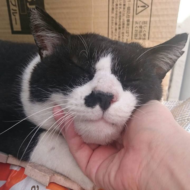 9fbaf670 1986 4293 9dba dab340504dbd