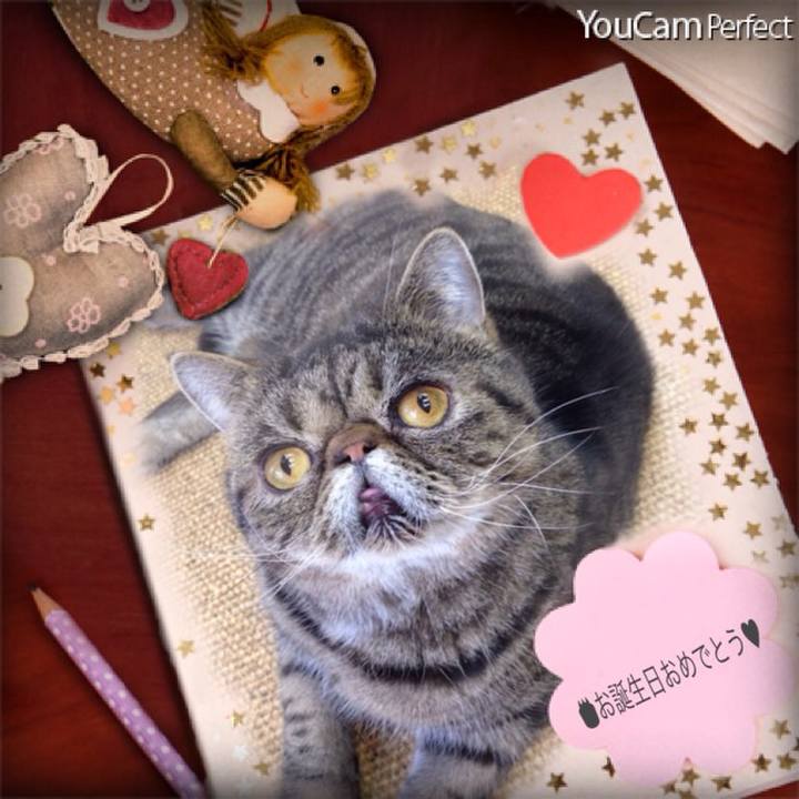 9fbb3f1d ba3c 4348 a232 381da0b756b0