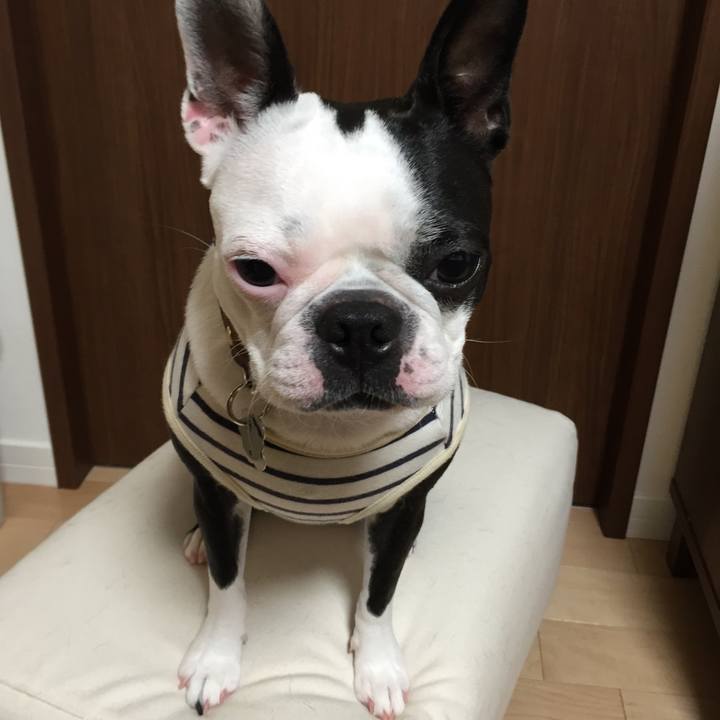 9fbb6f86 c75f 4a57 8b0a 7e58e1771698