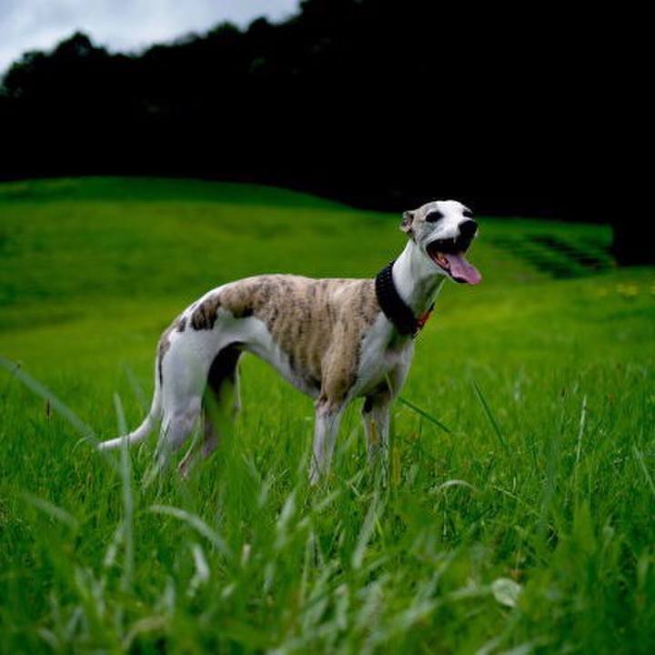 9fbb8cd9 dd0a 48fd a4f7 8c64eb9f127f