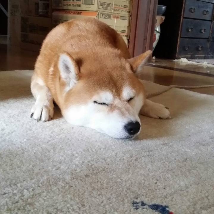 9fbc7bcb 4dac 451f a20a bb4c188ae16e