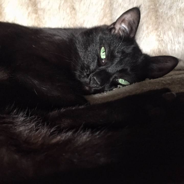 9fbcd26b 8105 43f6 bb4b cb64ec4986b3