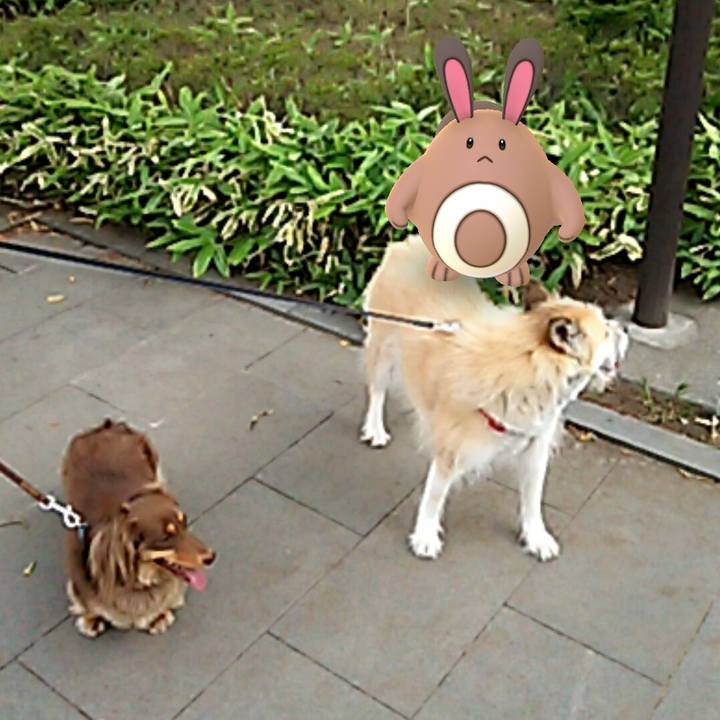 9fbcdb59 b9d4 42cd 947d b9c605dac4b7