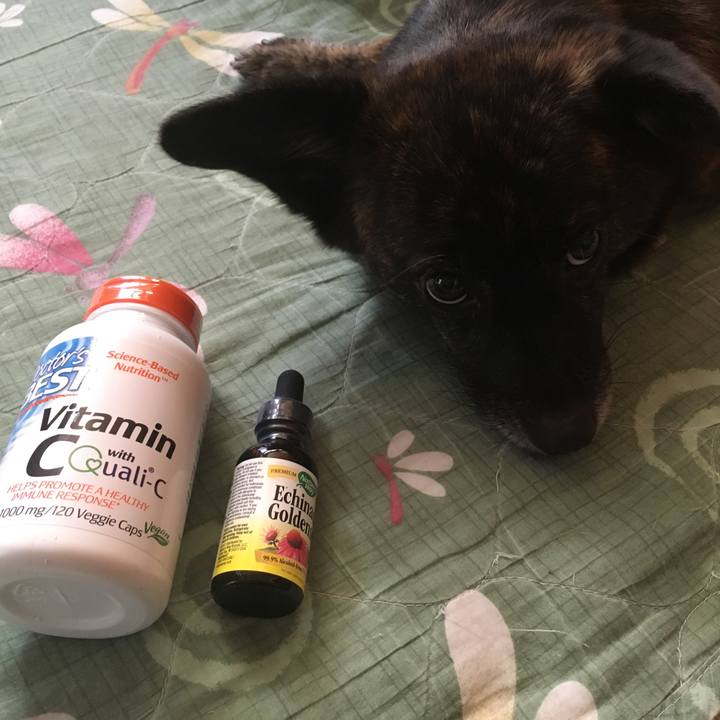 9fbd8b5e effc 4899 964e ac392e9a77ed