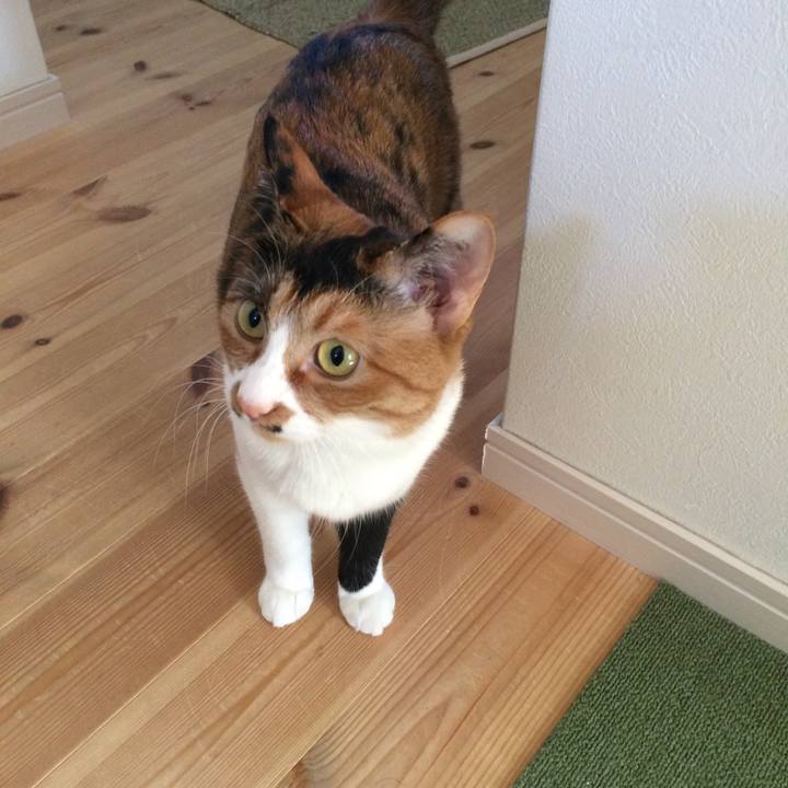 9fbdb702 f179 4fca 99fb 5ac52298952b